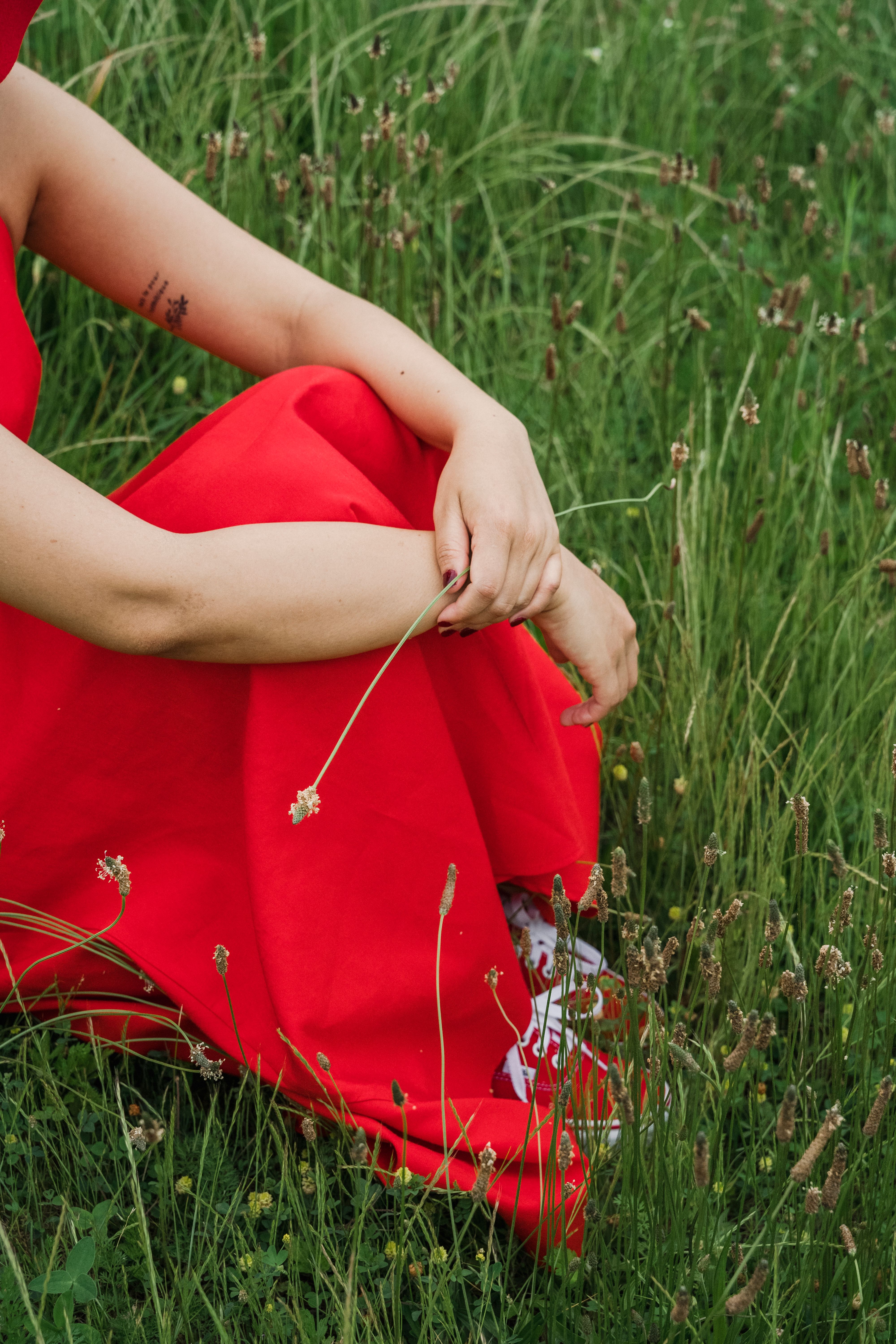 Woman in Red Dress Sitting on the Grass · Free Stock Photo