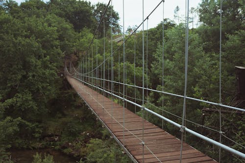 Close-Up Shot of a Wooden Hanging Bridge