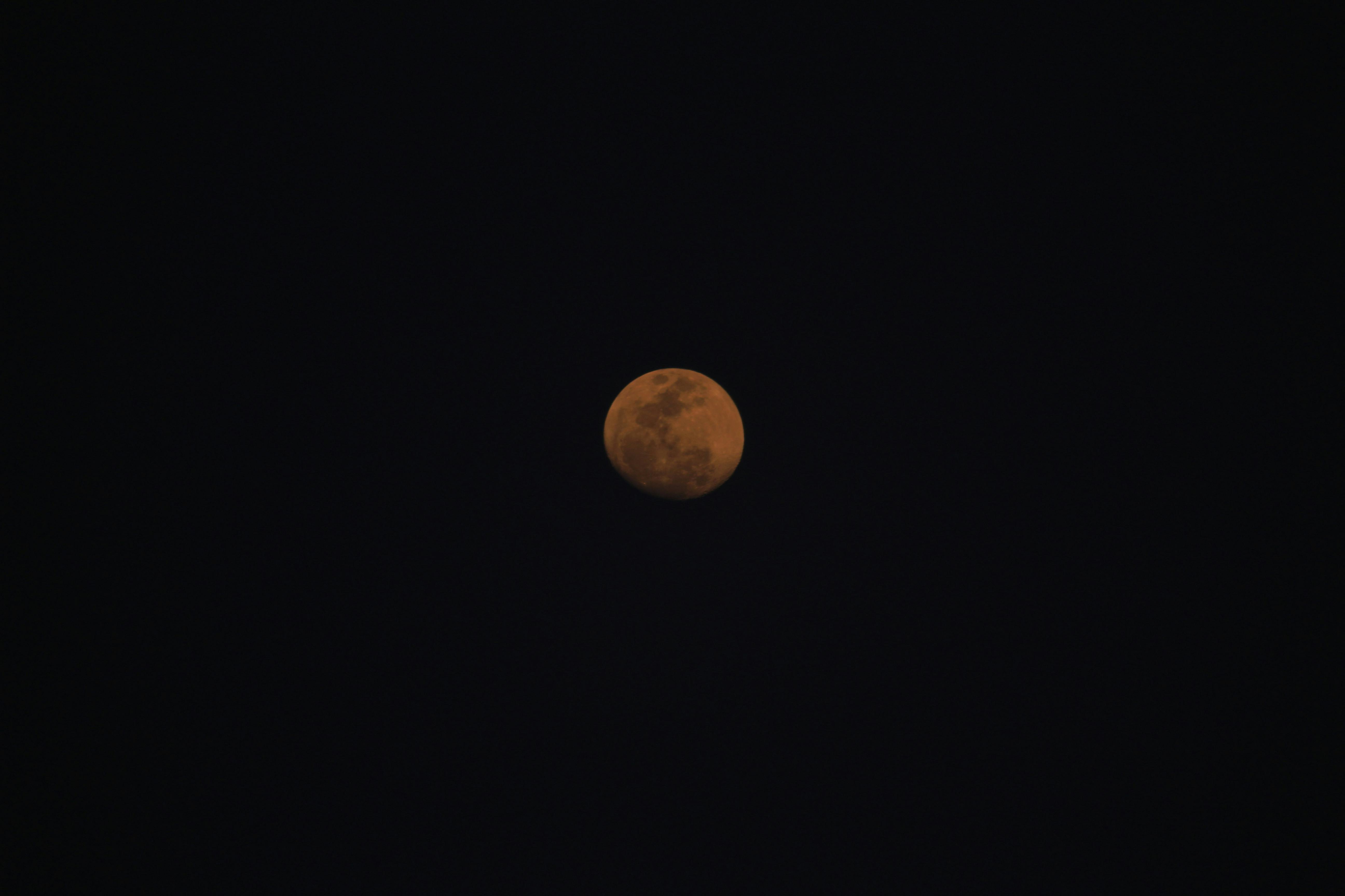 Free stock photo of crescent moon, half moon, moon