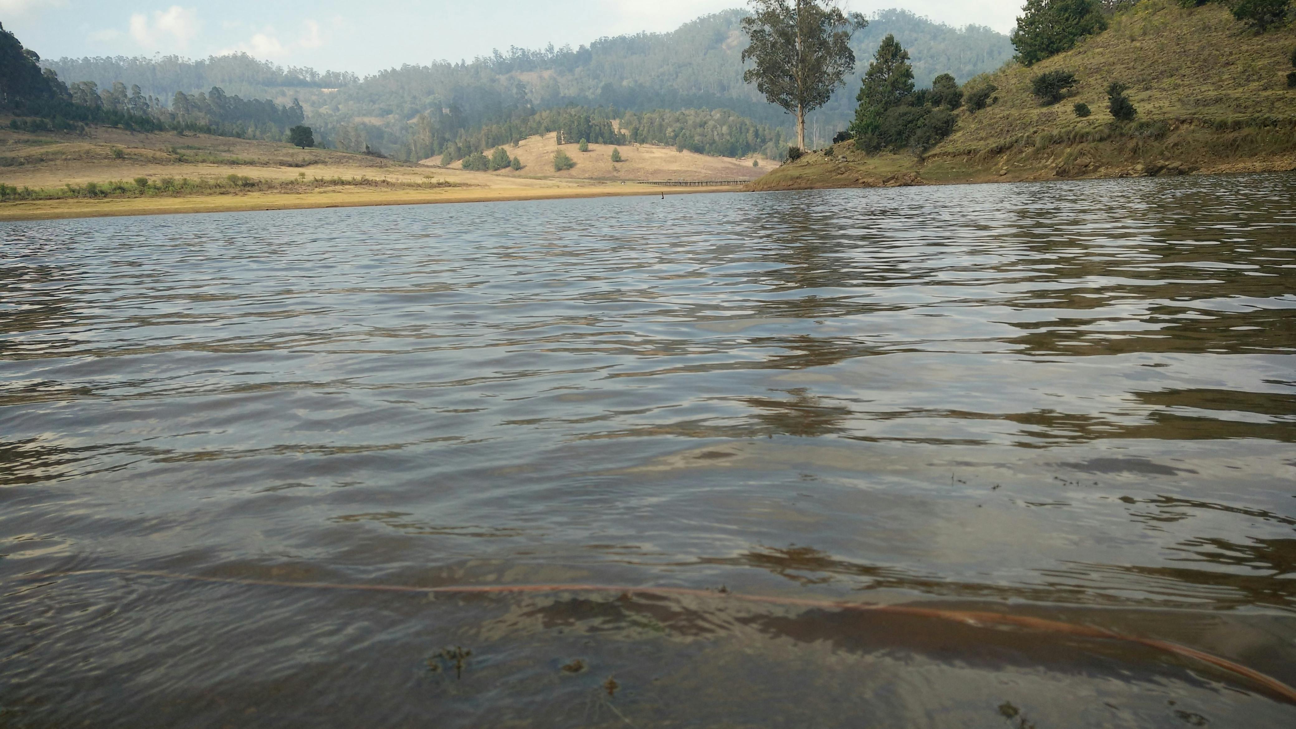 Special Needs Topic 454