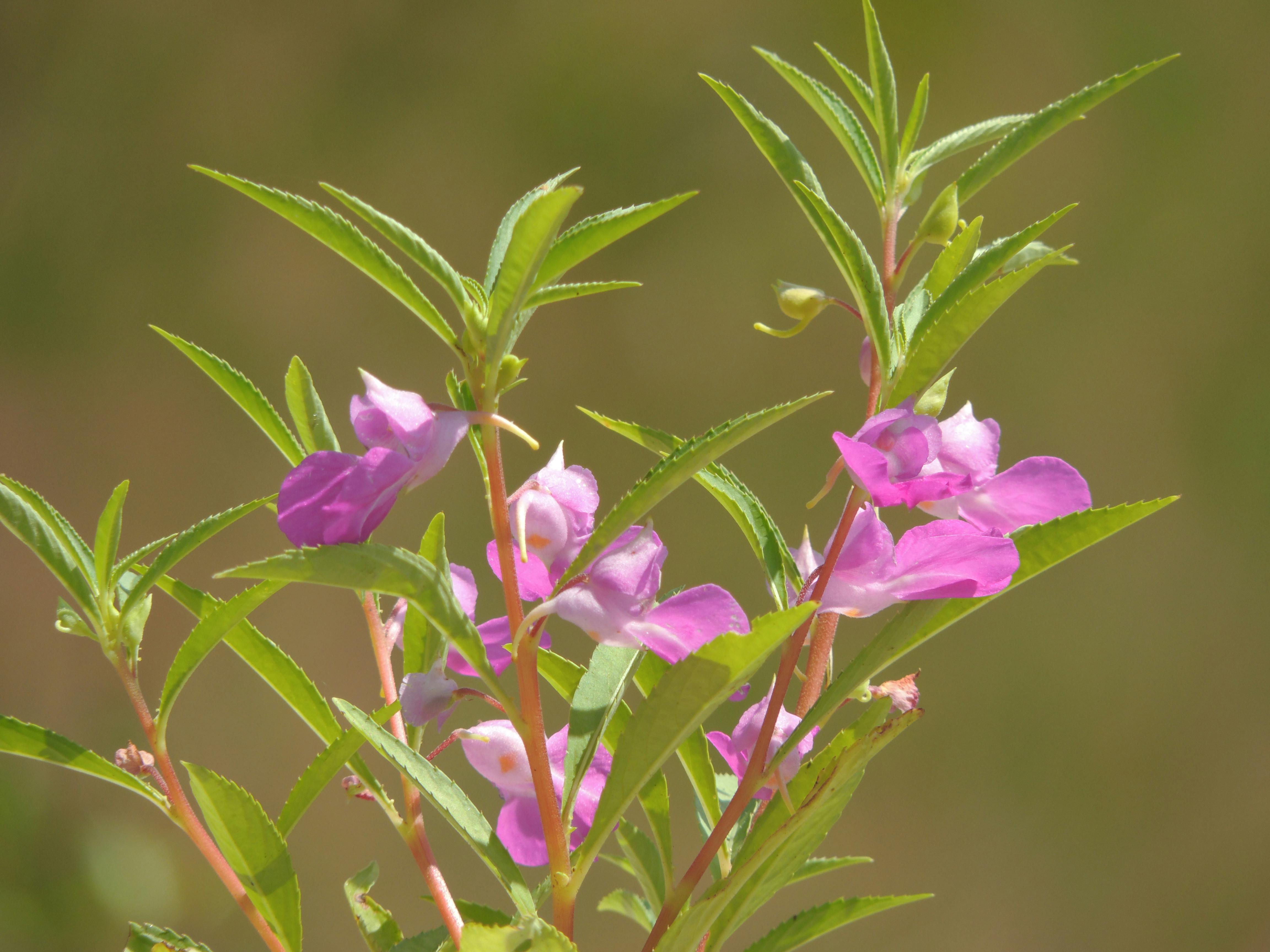 Dad's Guide Topic 413