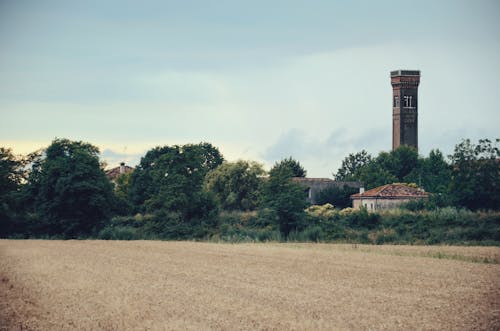 Gratis lagerfoto af afgrøde, agerjord, bane