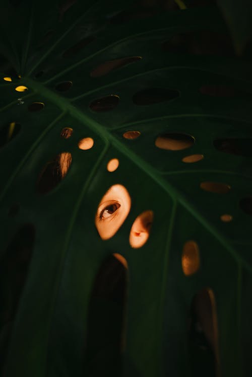 A Woman Peeking Through a Leaf