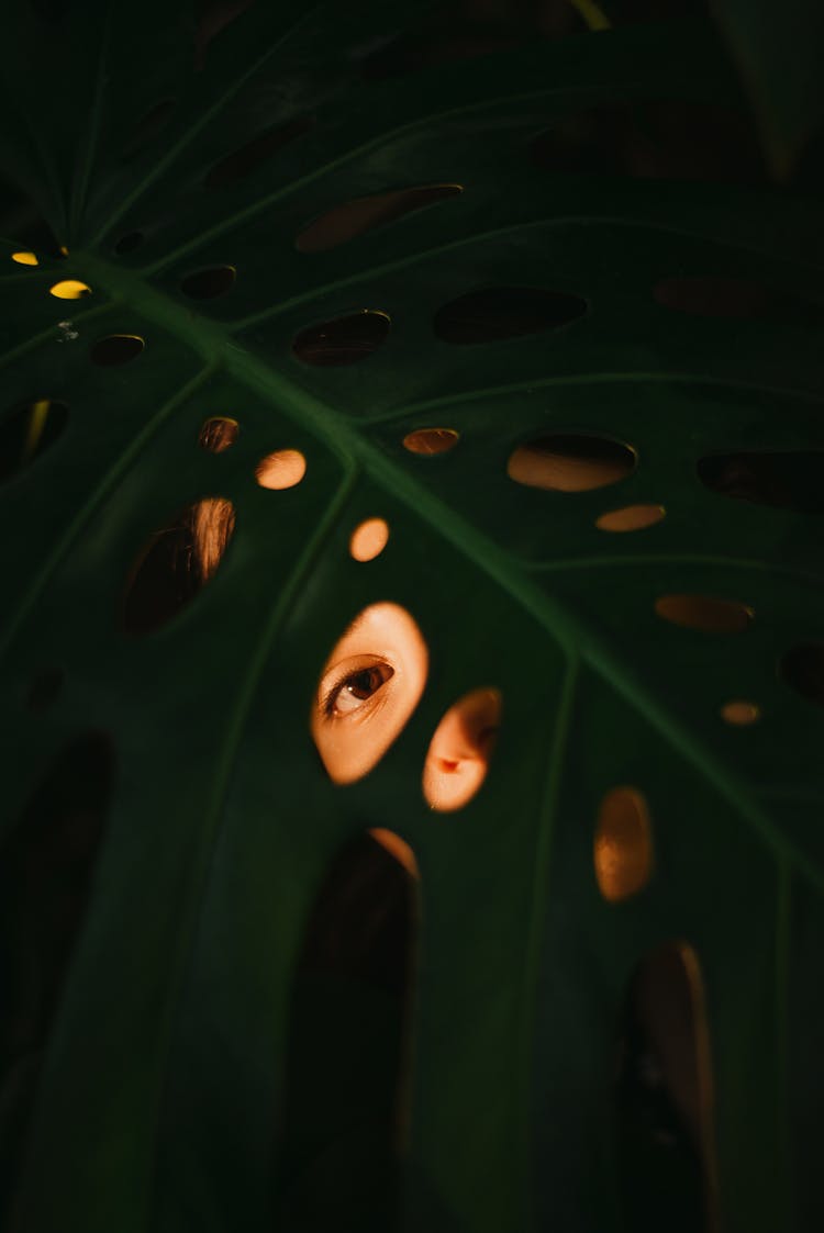 A Woman Peeking Through A Leaf