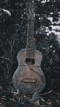A broken vintage guitar rests amidst lush foliage, highlighting natural decay and musical nostalgia.