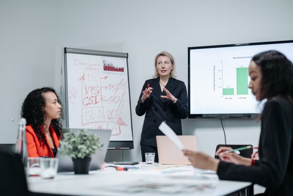 Strategy presentation by Pavel Danilyuk on Pexels
