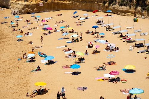 People Relaxing on Beach Sand