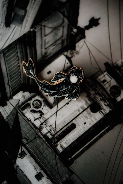 Free A fish-shaped pin set against a monochrome architectural urban background, creating a surreal contrast. Stock Photo