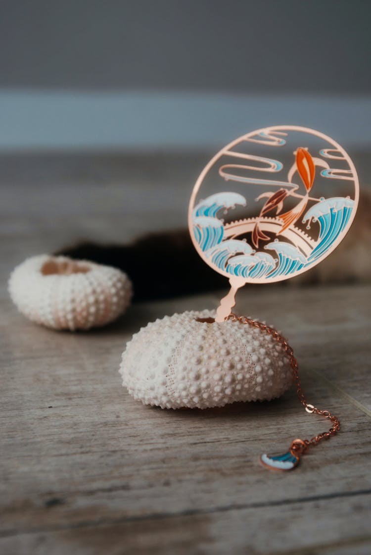 Close Up Of Still Life With Sea Urchin Skeletons And A Metal Badge