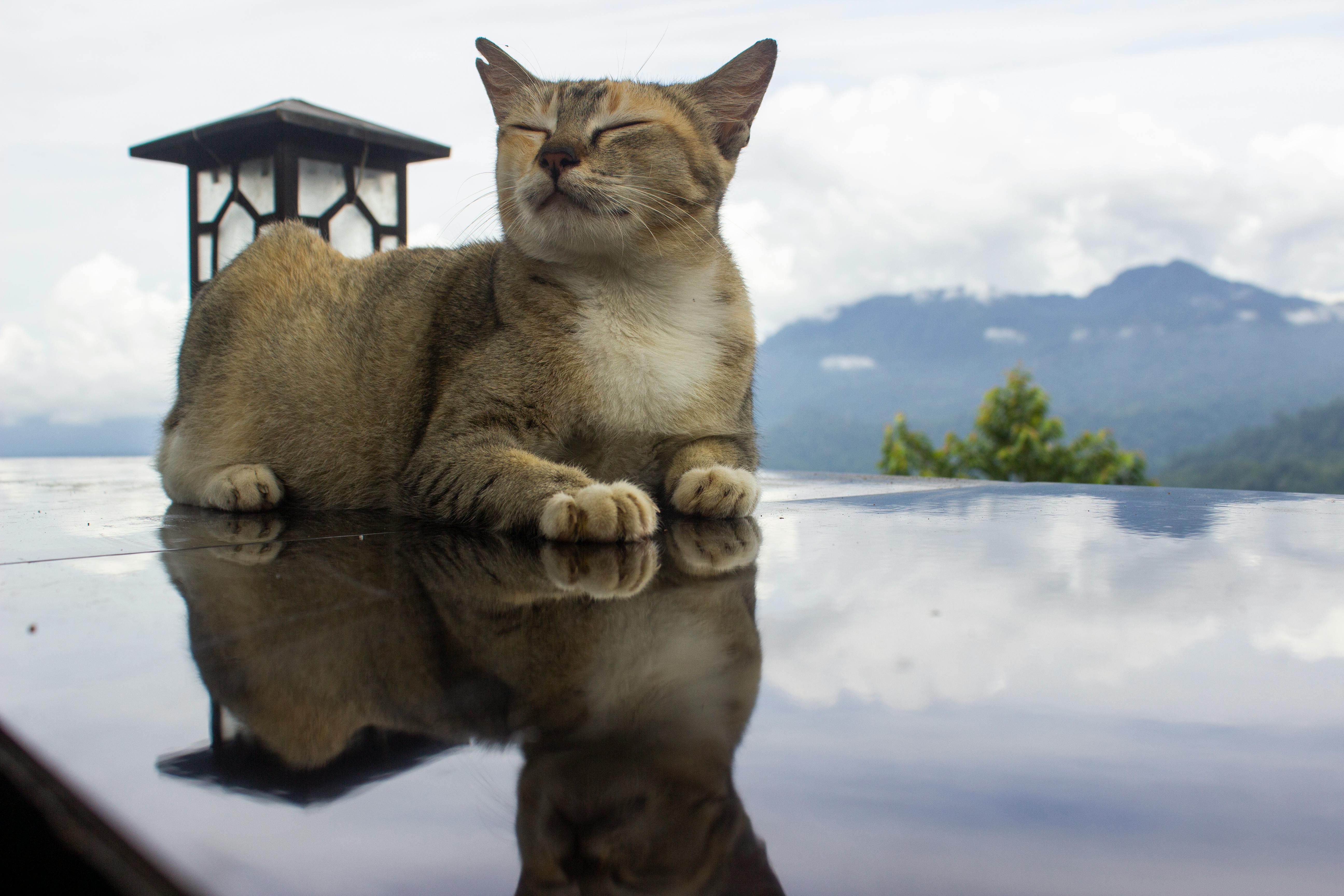 Person relaxing with headphones in a cozy room, ambient light and comfortable atmosphere.
