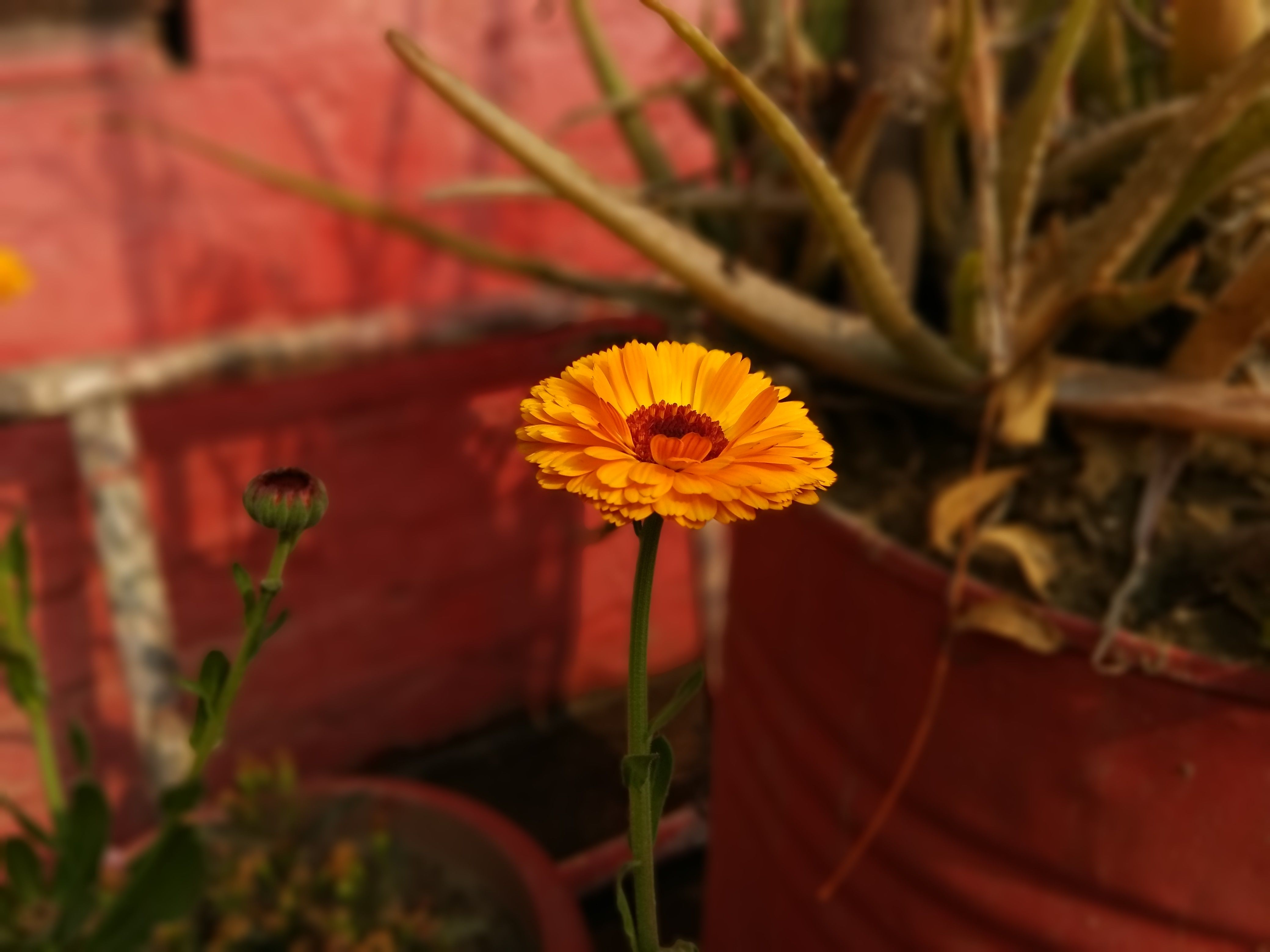 भारत में मतदान जागरूकता