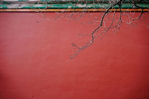 Free A close-up of a vibrant red wall with bare branches in a minimalist outdoor setting. Stock Photo