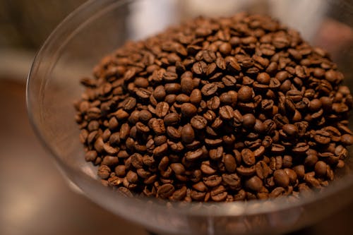 Ilmainen kuvapankkikuva tunnisteilla aromaattinen, kahvipavut, kofeiini Kuvapankkikuva