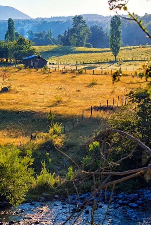 Gratis stockfoto met boerderij veld, bruin veld, houten huis
