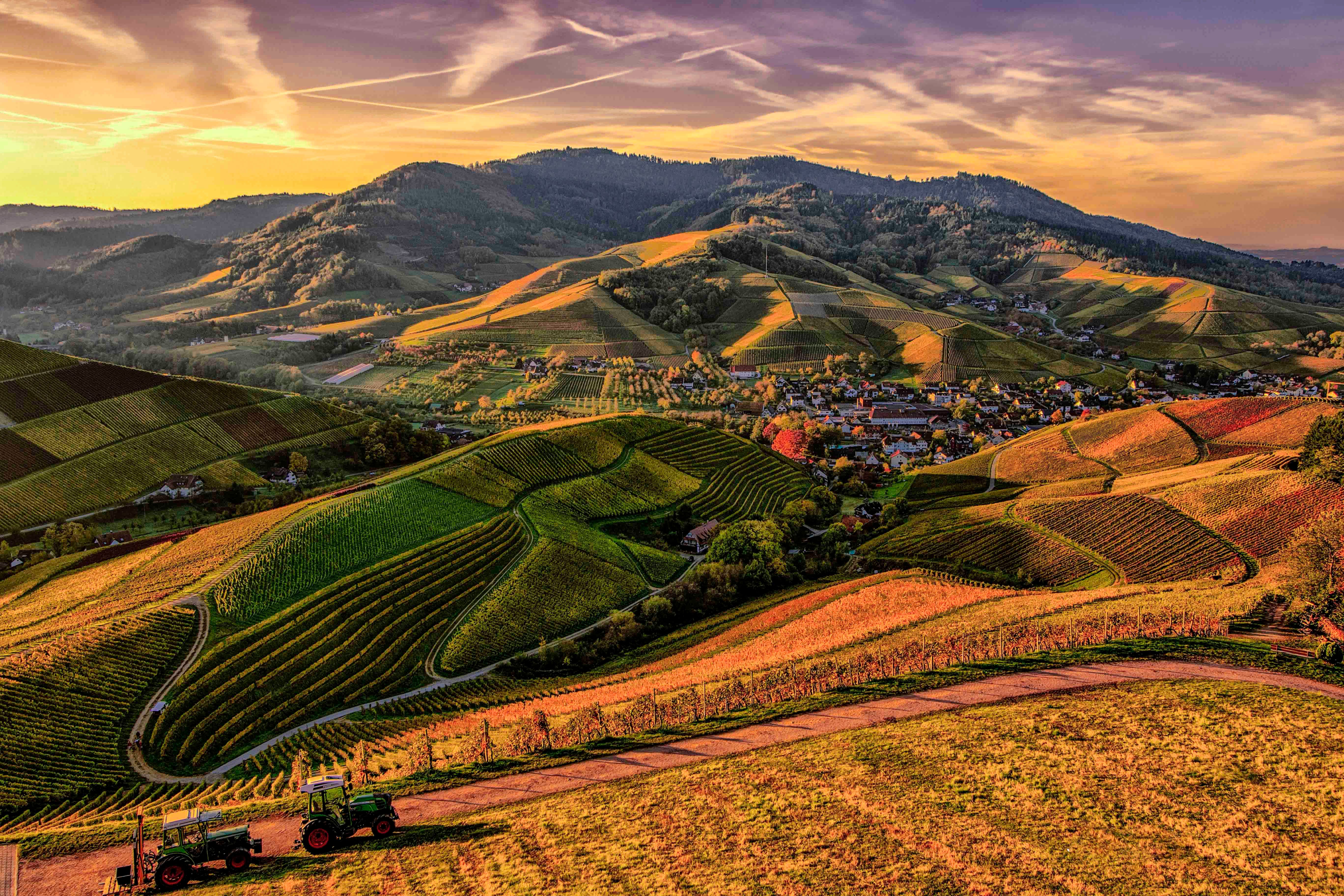 Castro Valley