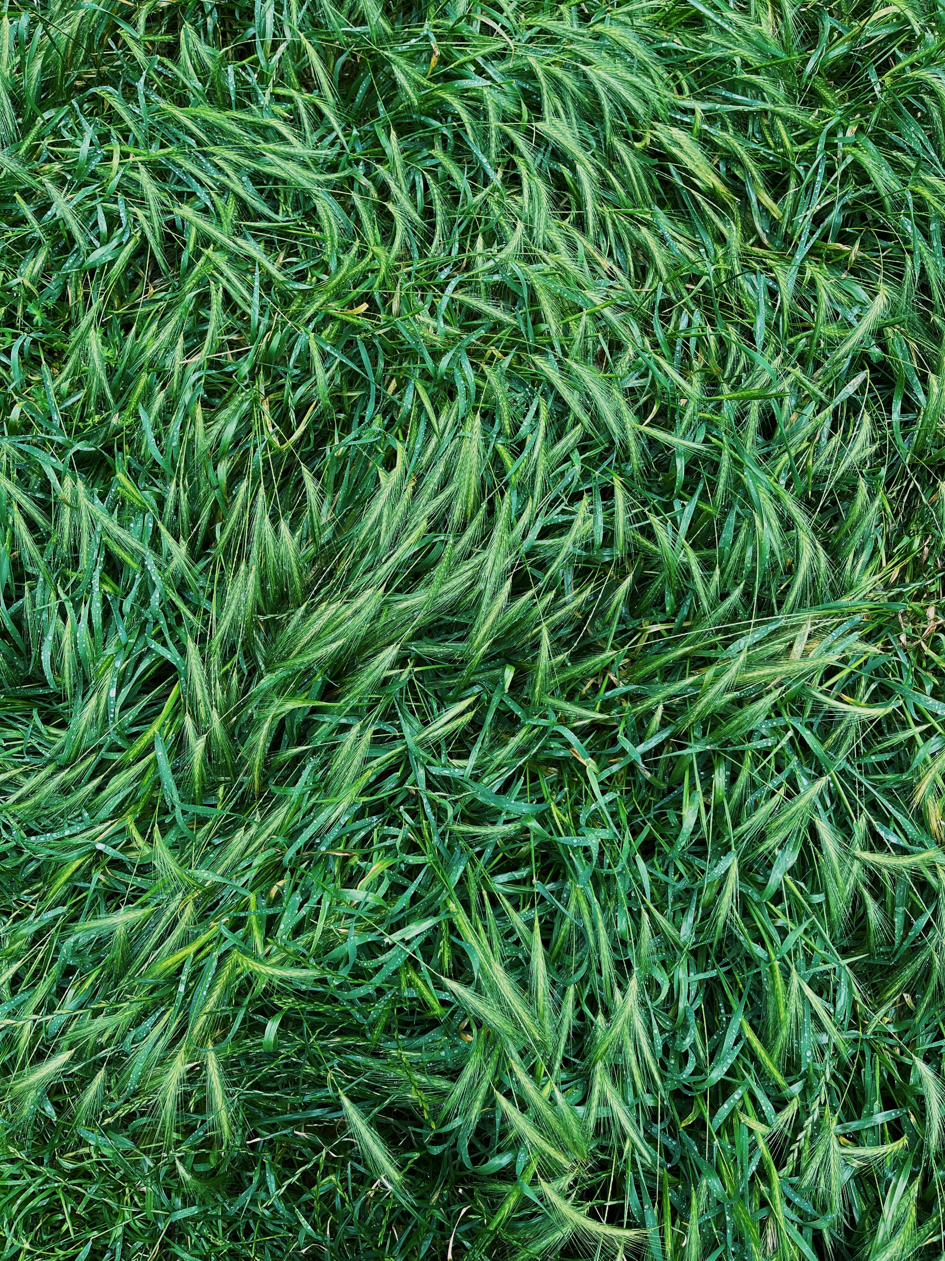 Simple Habits Of Greatness