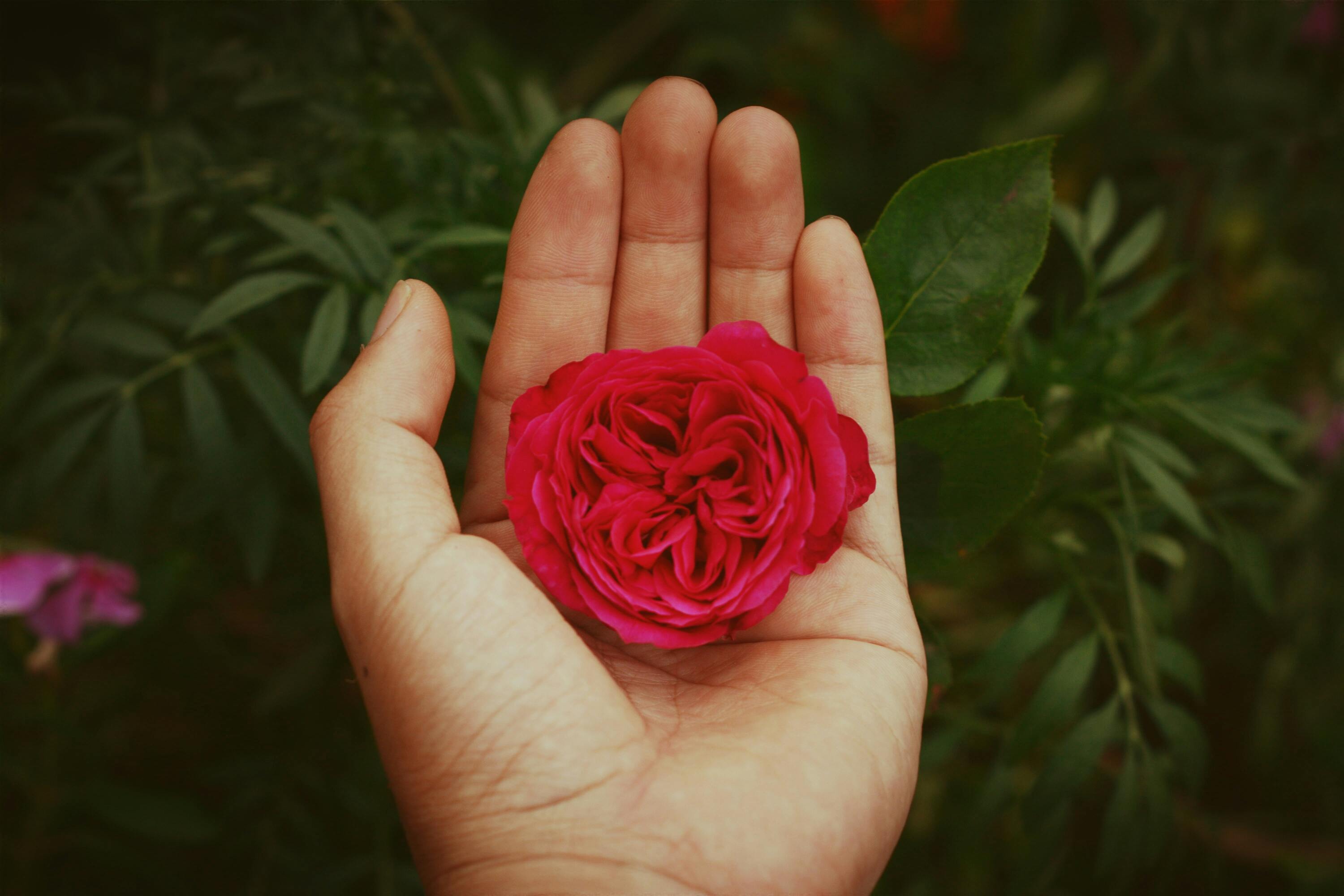 Child writing a letter and crumpling it