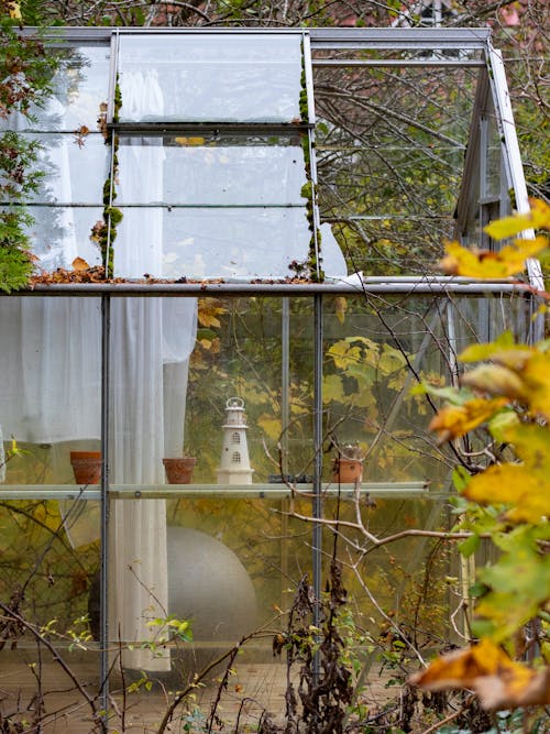 Close-up of a Glass House