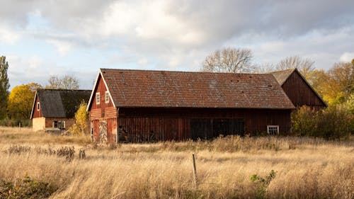 Free Barn in a Field Stock Photo
