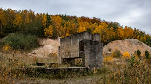Ruins in Forest in Autumn