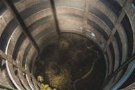 Green Leaves Plants Beside Brown Snake in Barrel