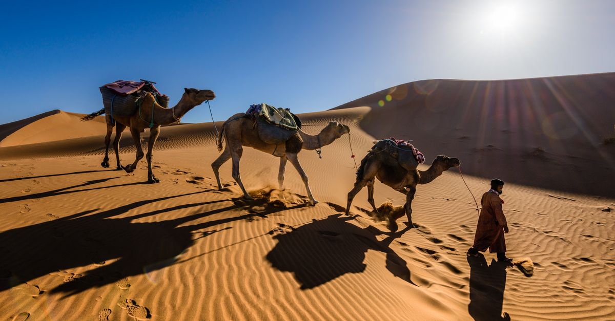 Camel Caps : Guide Notation Programmation 2026
