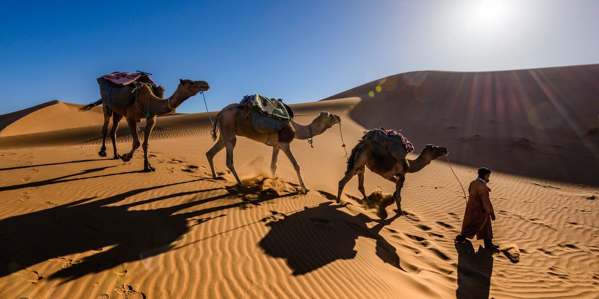 Merzouga vs M'Hamid: Which Sahara?