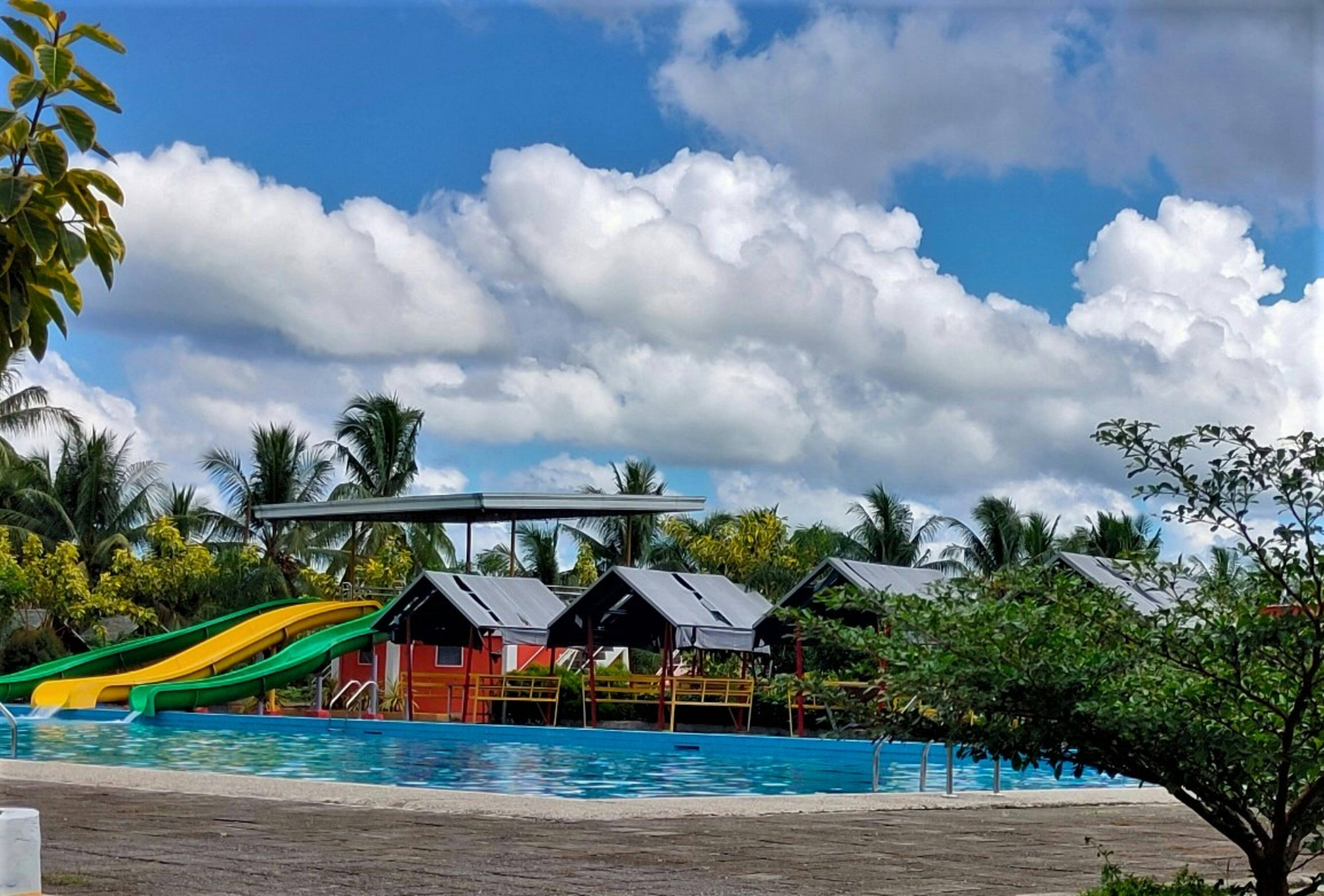 Sanguine Personality Traits friends laughing