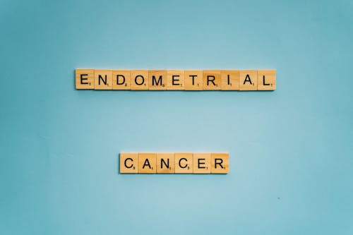 Wooden Scrabble Tiles Spelled Endometrial Cancer on Blue Background