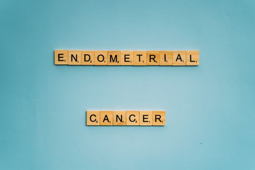 Wooden tiles spelling 'Endometrial Cancer' on a blue background promoting awareness.