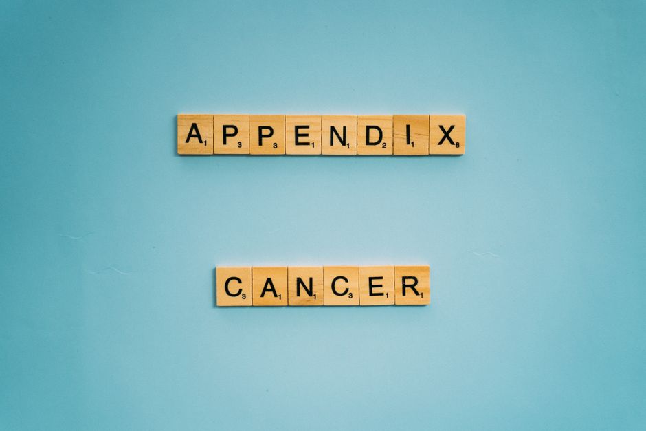 what is the appendix of a book