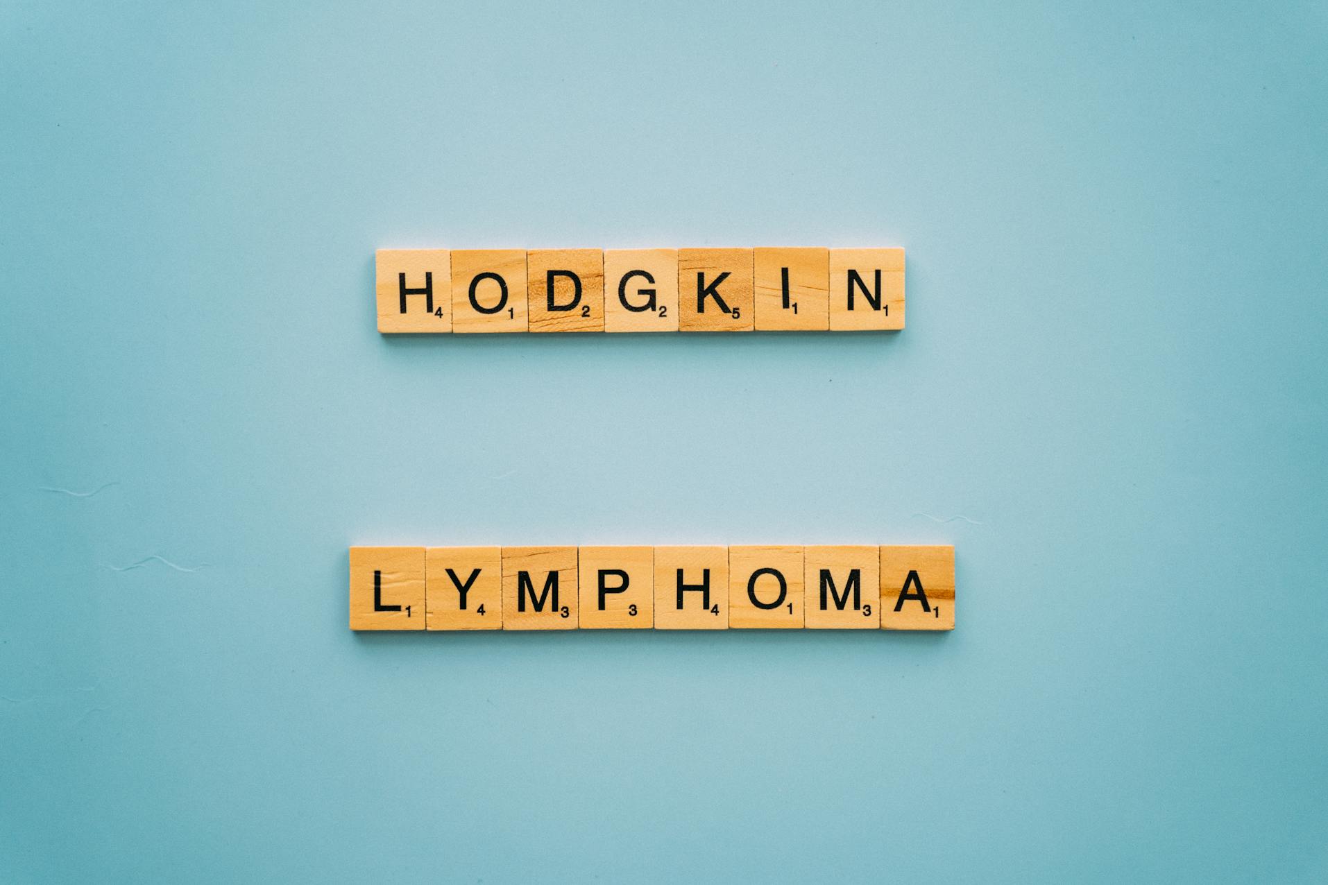 How to Humanely Euthanize a Rabbit at Home? [Comprehensive Answer]