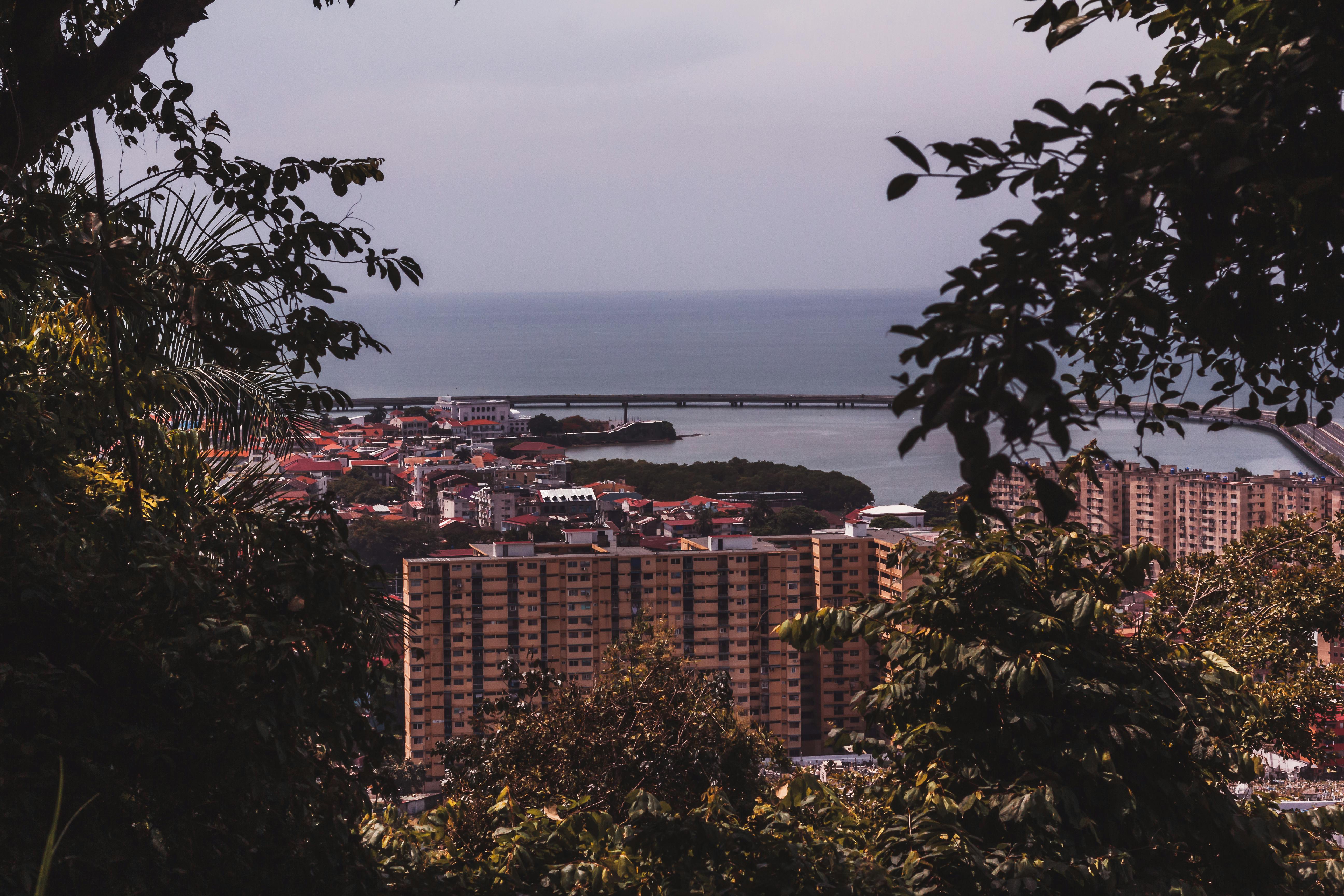 Port Panama City begins search for new executive director — Photo by Neron Photos on Pexels