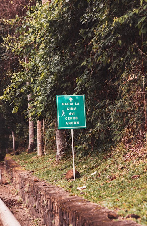 Free stock photo of overgrown, signboard