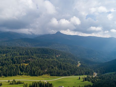 Breathtaking aerial view of a lush forest and mountain range under a cloudy sky.