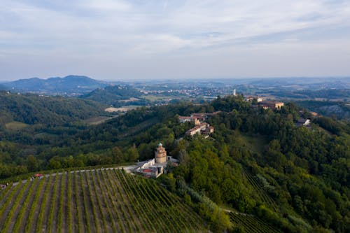 Aerial View of Buildings and Vineyard Under Cloudy Sky