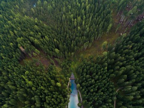 Stunning aerial shot of a lush evergreen forest with a tranquil river winding through.