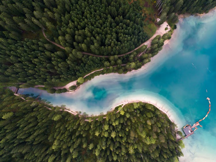 Bird's Eye View Of An Island Covered With Trees