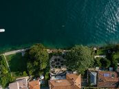 Aerial View of Houses Near Green Trees
