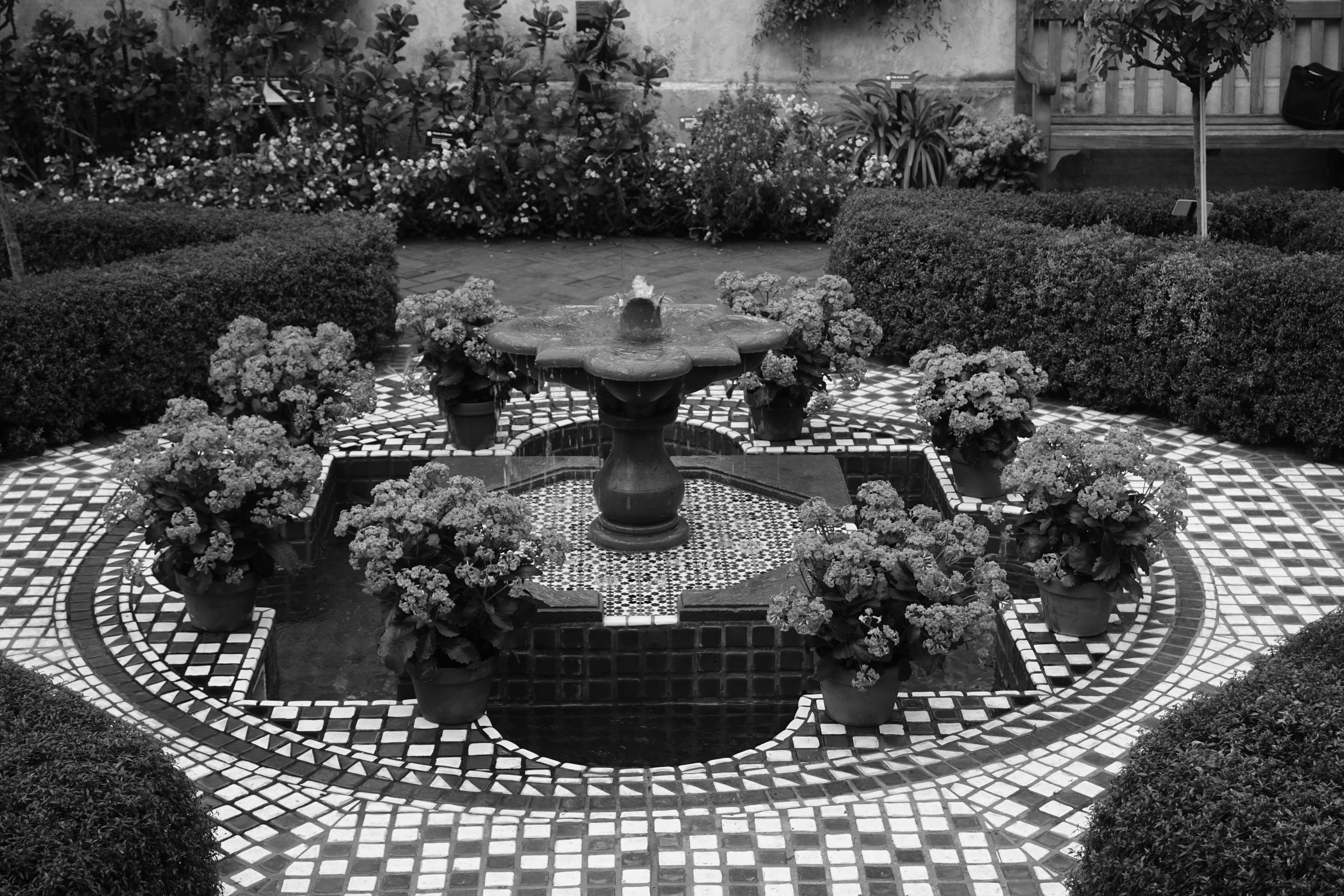 Free stock photo of fountain, garden