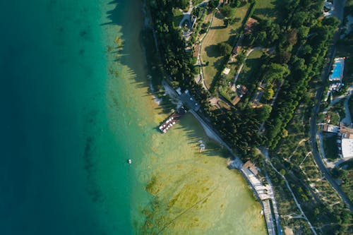 Foto profissional grátis de aerofotografia, árvores, costa