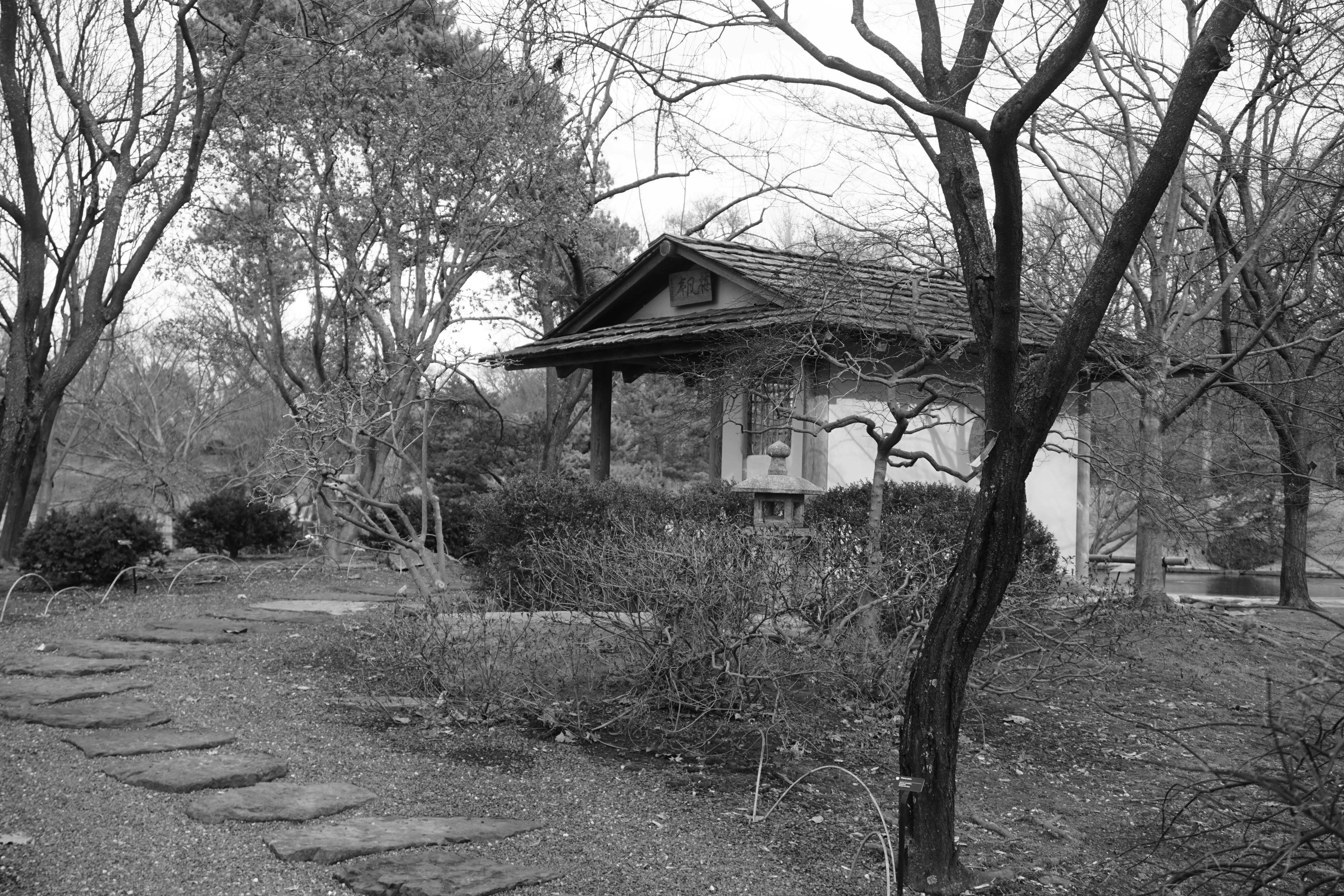 Free stock photo of black and white, garden, garden house