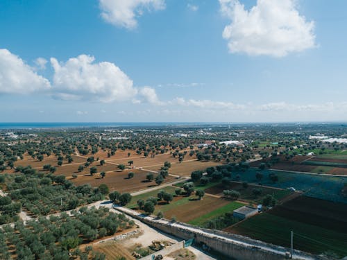 Δωρεάν στοκ φωτογραφιών με αγρόκτημα, αεροφωτογράφιση, από πάνω