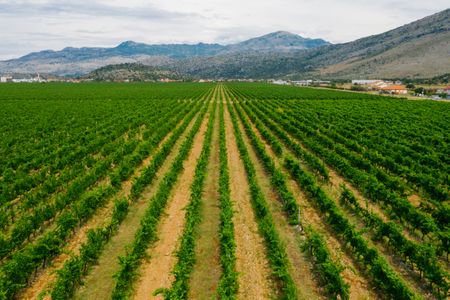 Impulsa tu negocio rural en las comarcas de Palencia