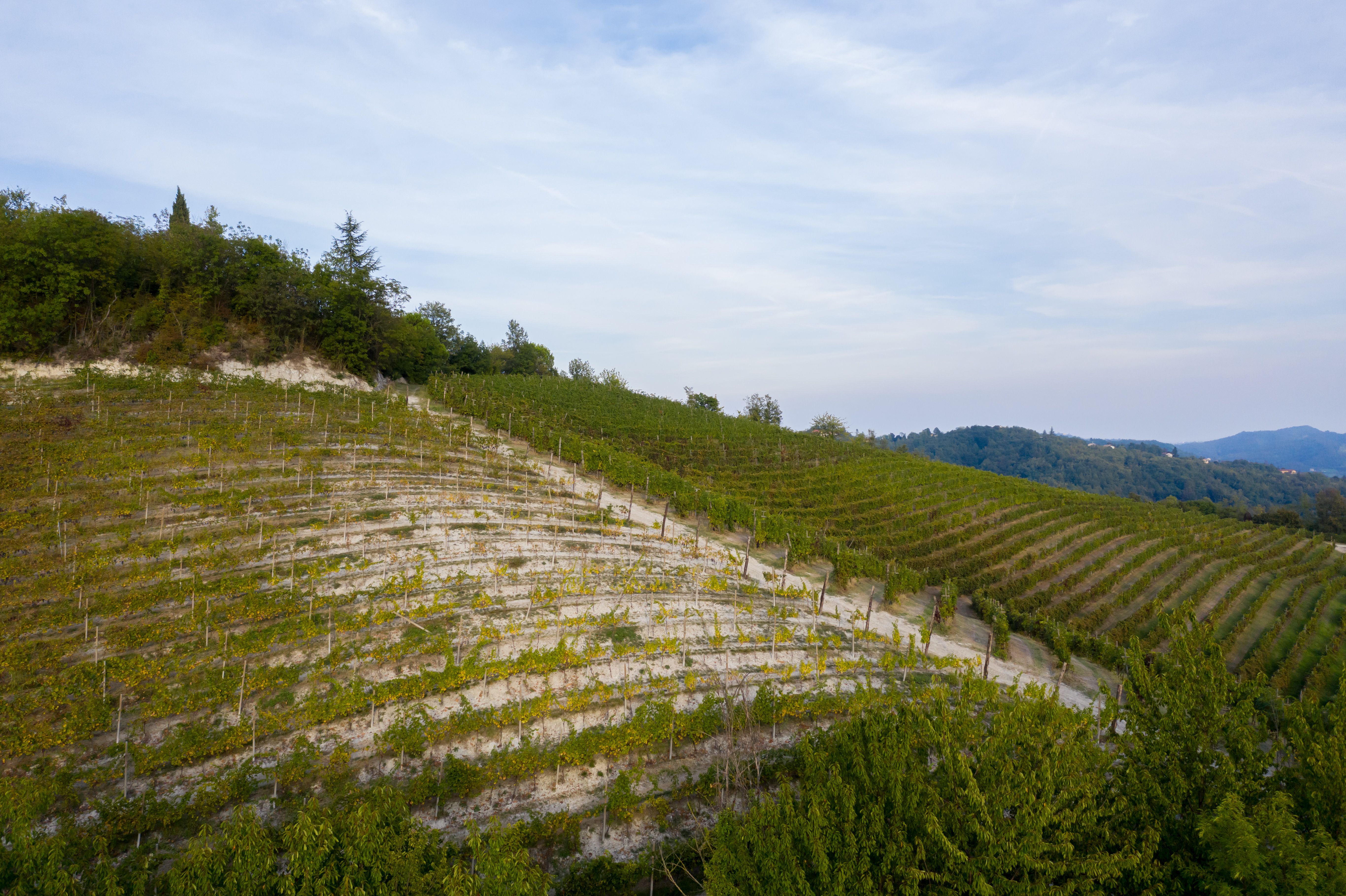 Aventine Hill Terrace