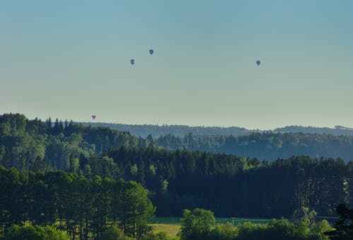 Gratis Foto stok gratis balon udara panas, hutan, langit Foto Stok