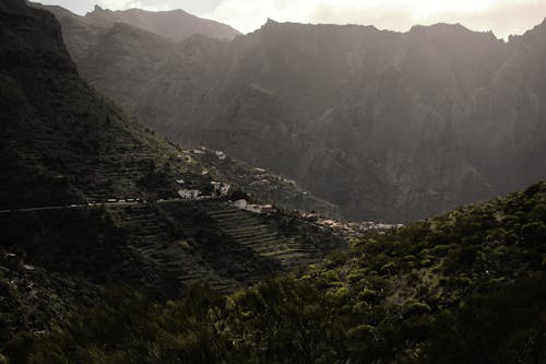 Green Trees Near Mountain at Daytime