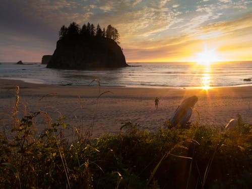 Fotos de stock gratuitas de playa pacífica, puesta de sol