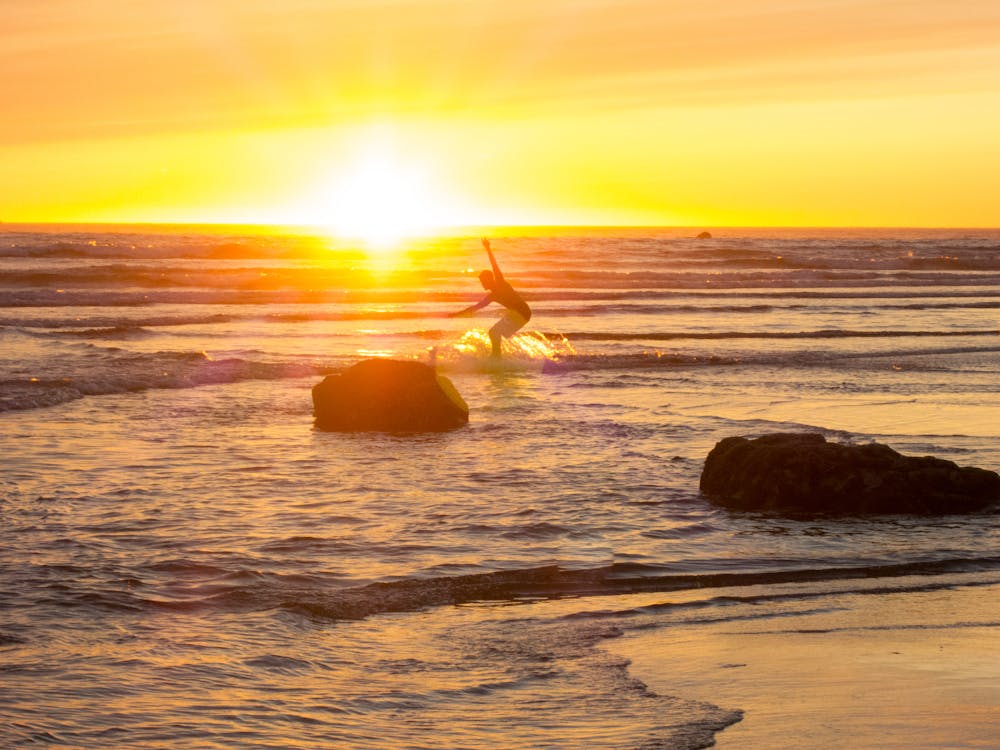 Free stock photo of sunset, surf, surfing