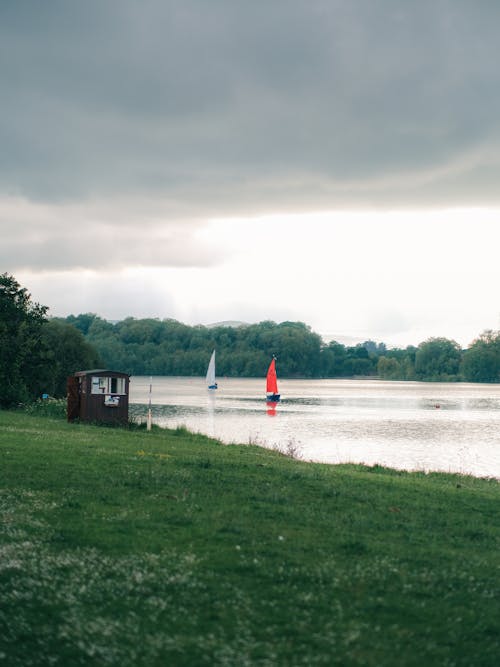 Free Red and White Shed Near Body of Water Stock Photo